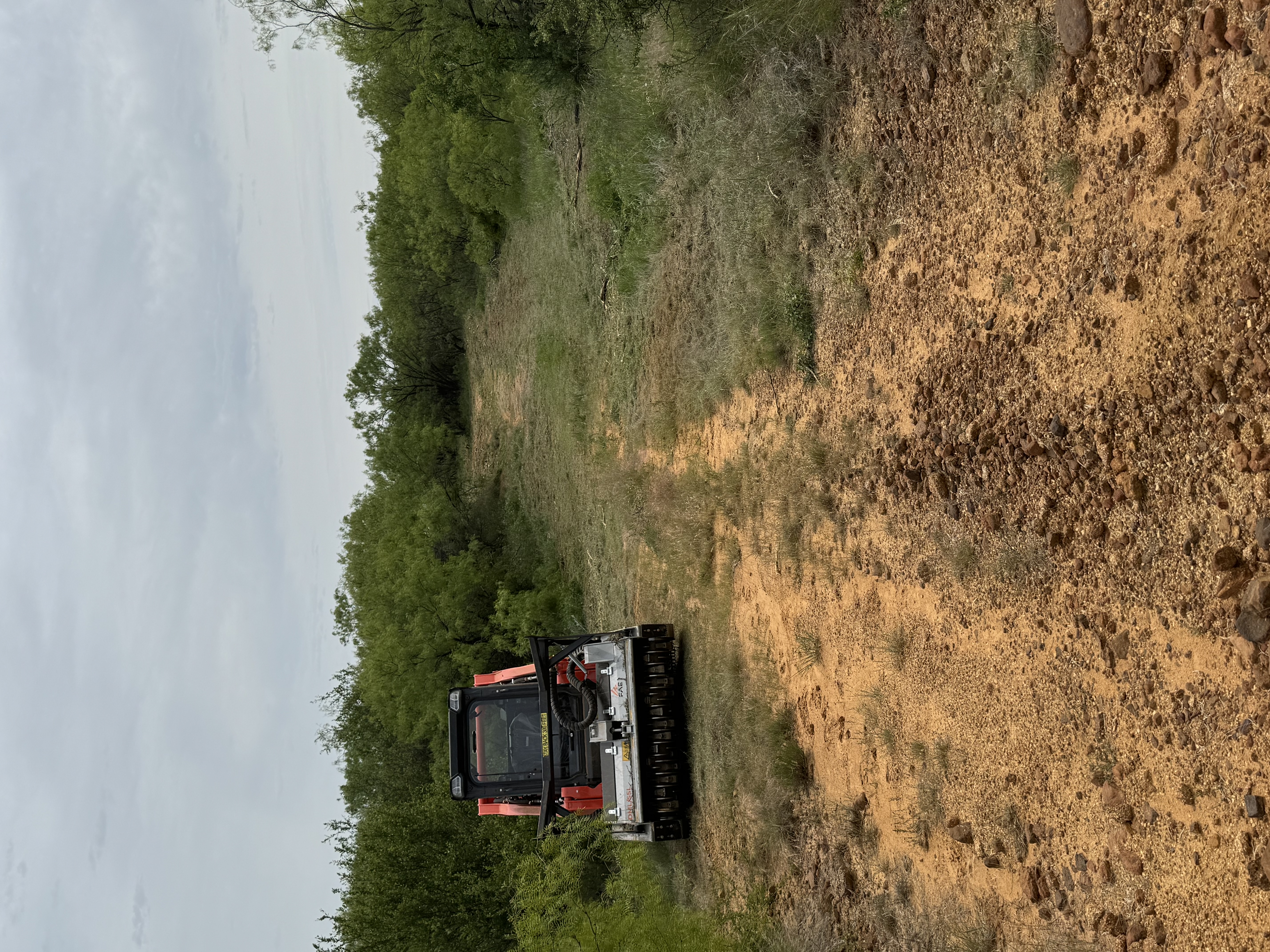After land clearing