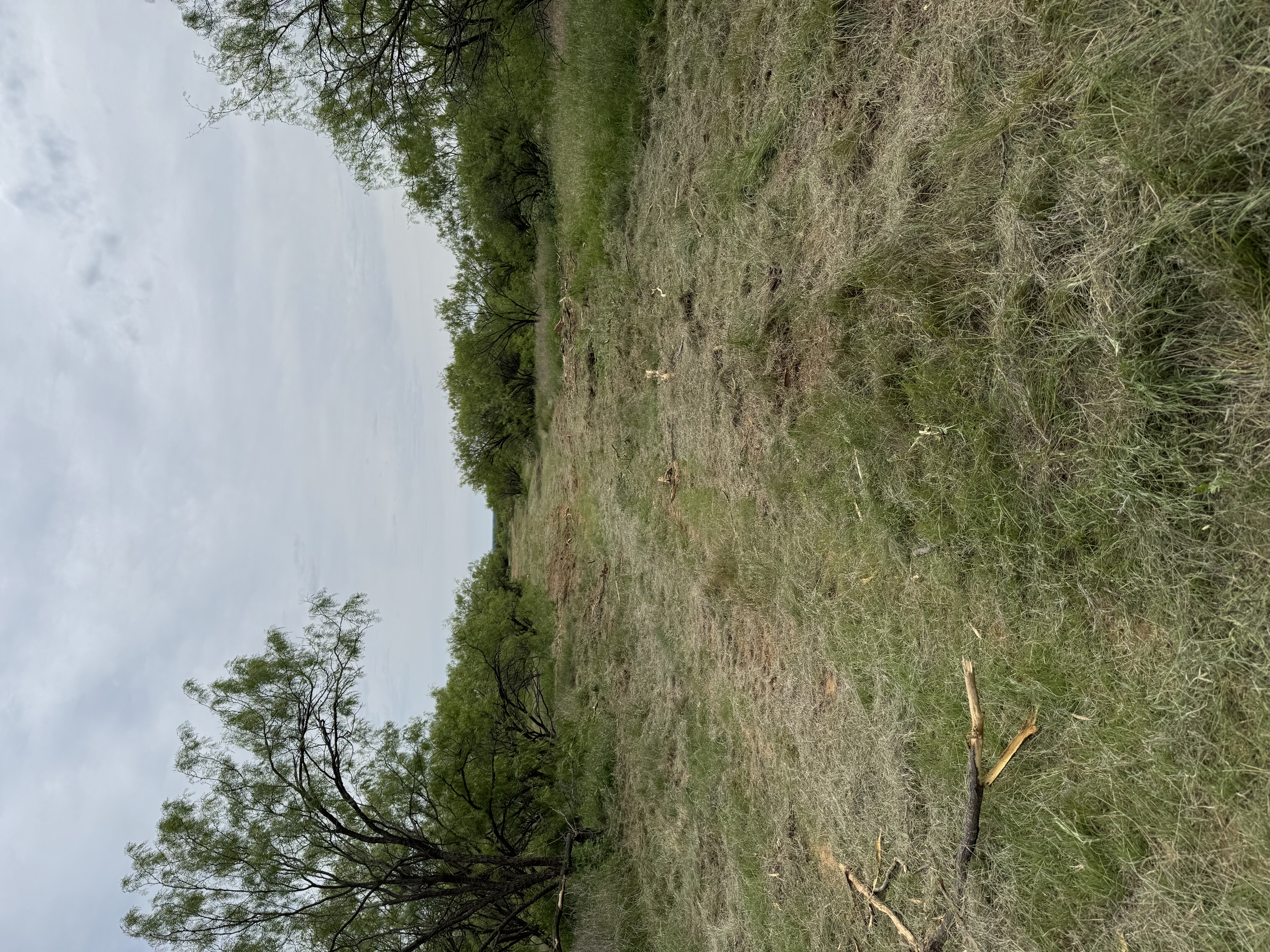 After trail clearing
